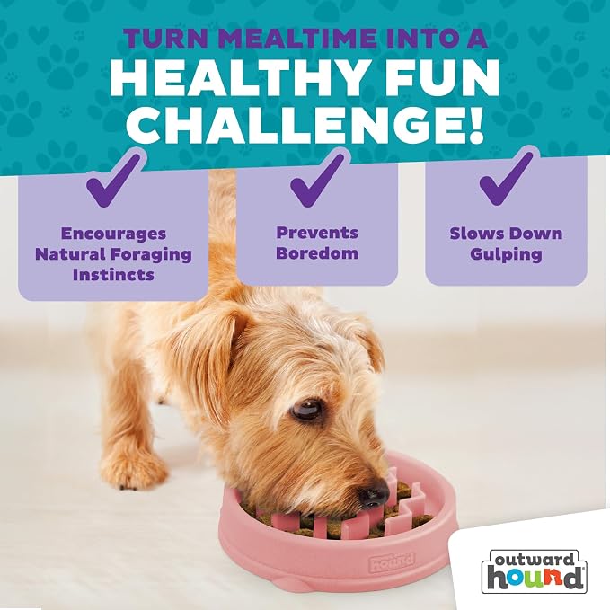 Outward Hound Fun Feeder Slo Bowl – Small 3/4-Cup Capacity, Slow Feeding - Image 5