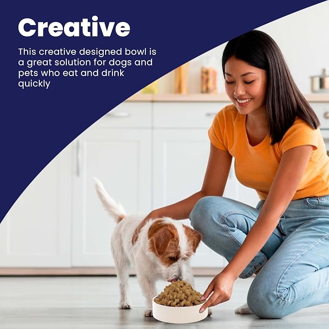SPOT by Ethical Products – Ceramic Stoneware Pet Bowl - Image 2