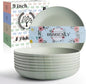 Homienly Wheat Straw Plates, Dinner Plates with Unique Texture Set of 8, Alternative to Plastic Plates, Plate Set for Kitchen, Camping, Unbreakable Microwave and Dishwasher Safe Plate- Light Grey