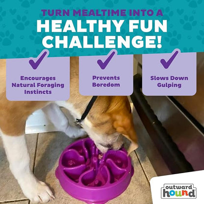 Outward Hound Fun Feeder Slo Bowl – Medium 2‑Cup Capacity, Slow Feeding - Image 7