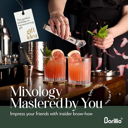 Barillio Silver Bartender Kit - Stainless-Steel Cocktail Shaker Set w/Black Bamboo Stand - Mixology Bar Tools w/Drink Shaker, Mixer & Muddler for Cocktails - Home Bar Accessories - 23-Pc Bar Set