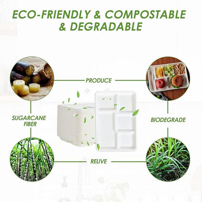 Vplus 100% Compostable 5 Compartment Paper Plates, 100 Pack, 12.5 x 8.6 inch Disposable School Lunch Trays, Eco-Friendly Bagasse Plates for Buffet, and Party