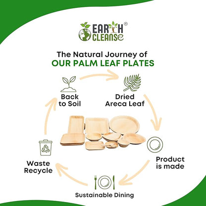 The Palm Dinnerware – Palm Plates 8 Inch Round (50 Count) | Compostable & Biodegradable | Like Bamboo Disposable Plates | Oven & Microwave Safe | USDA 100% Biobased