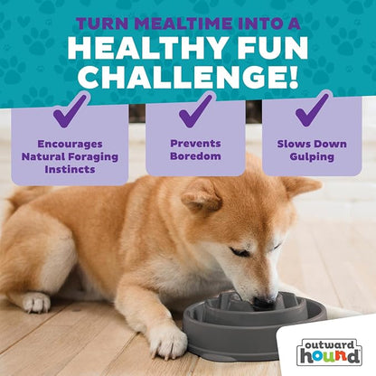 Outward Hound Fun Feeder Slo Bowl – Medium 2‑Cup Capacity, Slow Feeding - Image 5