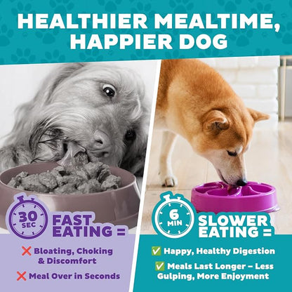 Outward Hound Fun Feeder Slo Bowl – Medium 2‑Cup Capacity, Slow Feeding - Image 8