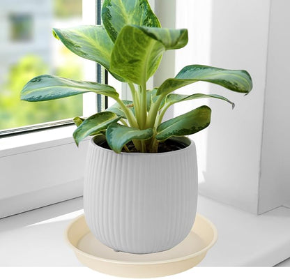 2 Pack of 10 inch Plant Saucer Gray, Heavy Duty Plastic Plant Saucer 10 inch - Image 4