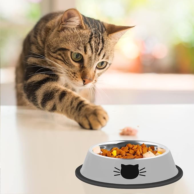 Serentive 2Pcs Cat Bowls Non-Slip Stainless Steel Small Cat Food Bowl - Image 6