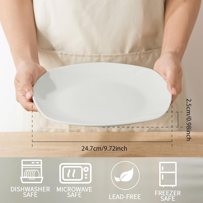 10" Square Dinner Plates Set of 4, Appetizer & Dessert, Dishwasher Safe - Image 3