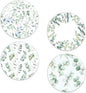 Drinks Coasters Set of 4, Green Plants Sage Round 4" Cup Coasters, Absorbent Ceramic Stone Coasters with Cork Base, Cute Coasters for Table Home Décor, Ideal Gifts for Women Men