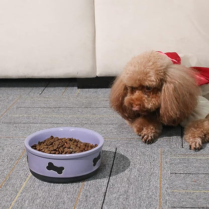 Sweejar Ceramic Dog Bowls with Bone Pattern, Dog Food Dish for Small Dogs, Porcelain Pet Bowl for Water 16 Fl Oz (Purple)