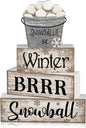 Moucuny 4 Pcs Winter Table Decorations Winter Tiered Tray Decor Christmas Table by Moucuny