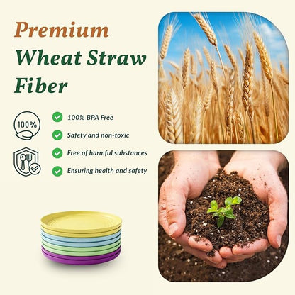 Mini Appetizer Plates 5.7-inch Wheat Straw Plates Set of 8 - Image 3