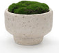 NAHARO New Moss Bowl, 6.5''Handmade Cement Bowl–Artificial Moss Centerpiece by NAHARO