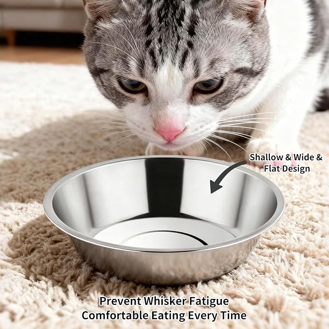 Tifanso 6PCS 5.6" Stainless Steel Whisker Friendly Cat Food & Water Bowls | - Image 4