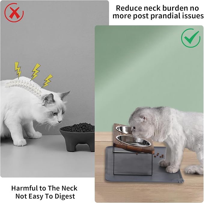 Upgraded Elevated Cat Bowls - Image 2