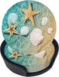 6 Pcs Starfish and Seashell On The Summer Beach in Sea Water. Leather Coasters by NiuKom