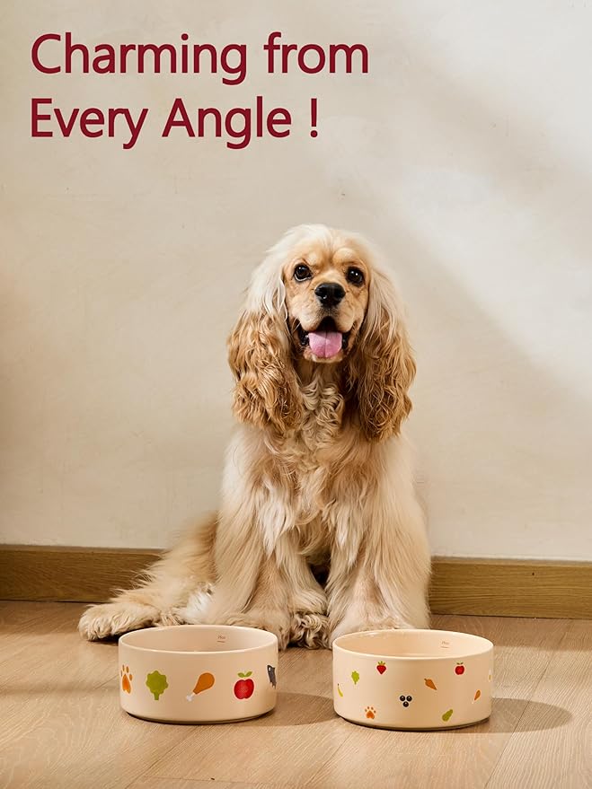 Ceramic Dog Bowl with Non-Slip Ring - 6.5 Cups, Heavy-Duty Stoneware Bowl, Pet Feeding, Microwave and Dishwasher Safe-NomNom-L (Single Bowl)
