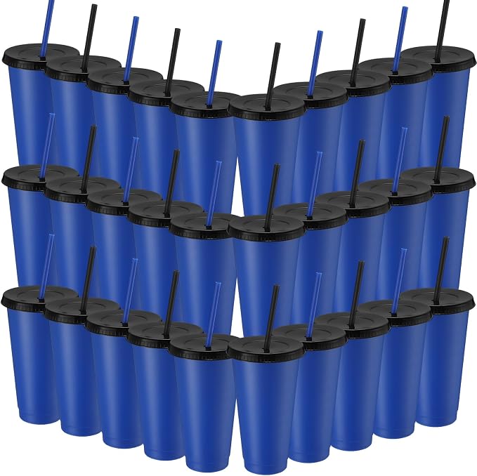 Honeydak 30 Pack Tumbler with Straw and Lid Bulk Cups by Honeydak