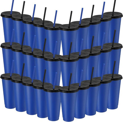 Honeydak 30 Pack Tumbler with Straw and Lid Bulk Cups by Honeydak