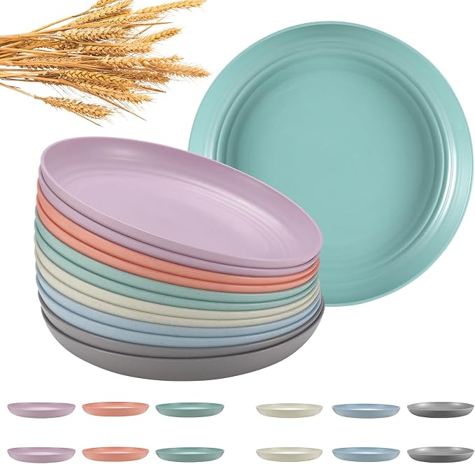 HEYCOME 12 Pcs Unbreakable Deep Dinner Plates Set, 10 inch Reusable Plastic by StayHealthyStayHappy