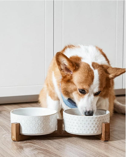 LE TAUCI Dog Bowl Set with Acacia Wood Stand - Image 9