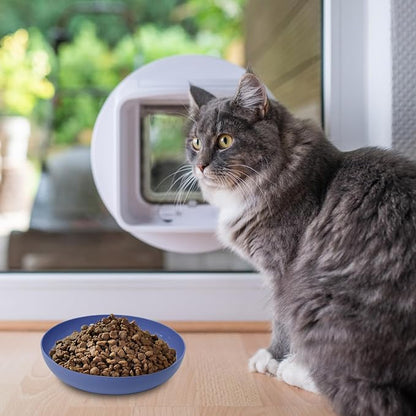 Cat Dishes Whisker Friendly, Shallow Wide Pet Food and Water Bowl, Durable - Image 7