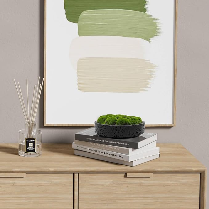 NAHARO New Moss Bowl, Living Room, or Coffee Table Display - Image 6