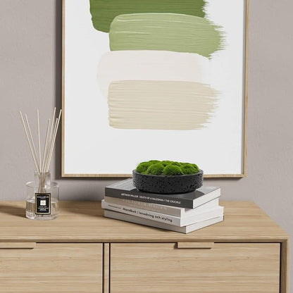 NAHARO New Moss Bowl, Living Room, or Coffee Table Display - Image 6