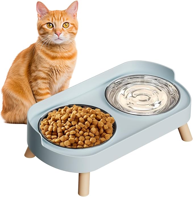 Elevated Cat Bowl, Raised Cat Food and Water Bowl Set by HIAIEVIY