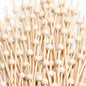 200 Pcs Cocktail Picks, 4.7 Inch Toothpicks for Appetizers, Bamboo Cocktail Sticks Skewers for Drinks, Desserts, Charcuterie, Wedding Party Fancy Toothpicks, Natural Pearl Mini Food Picks Decorative