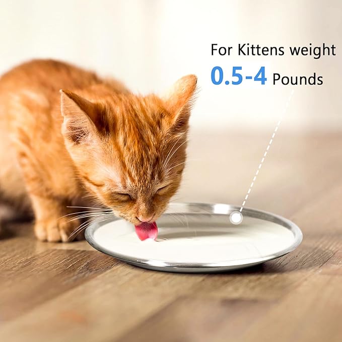 Stainless Steel Cat Dishes for Food and Water Bowls for Kittens and Baby Cats - Image 2