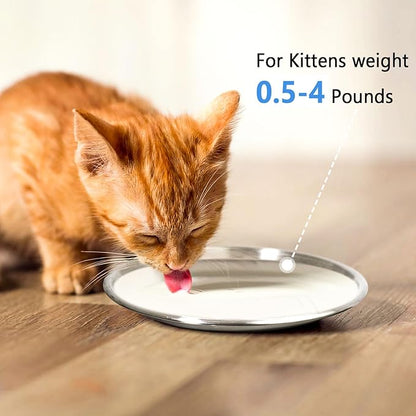 Stainless Steel Cat Dishes for Food and Water Bowls for Kittens and Baby Cats - Image 2