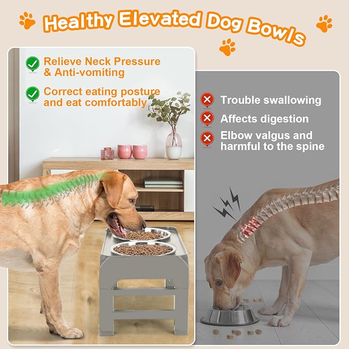 Elevated Bowls, 4 Height Adjustable Raised Stand - Image 3