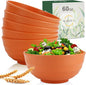Wheat Straw Bowls Set 60 OZ Unbreakable Large Cereal Bowls Set of 6 Microwave by WROVA