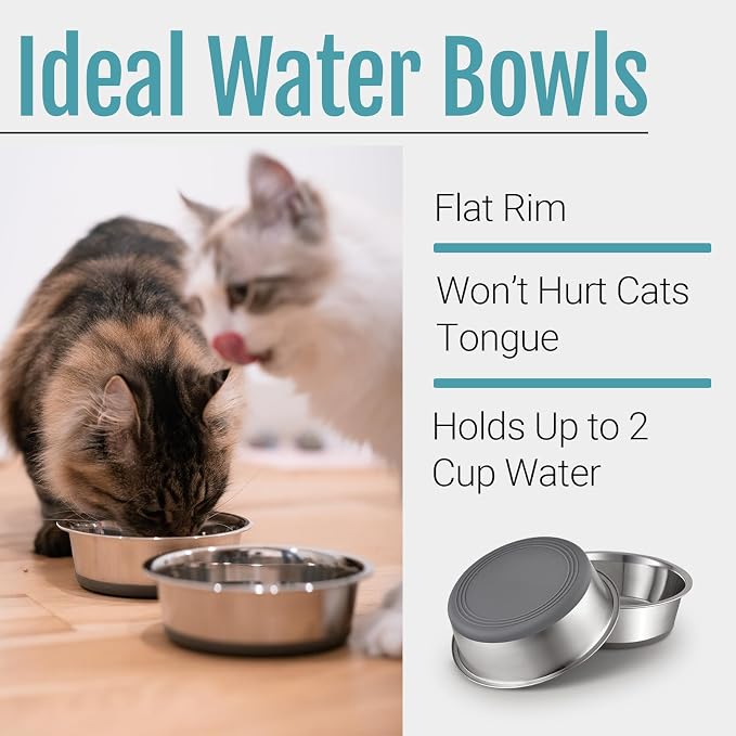 Nonslip Stainless Steel Dog Cat Bowls, 2 US Cup, Dishwasher safe, Stackable - Image 4