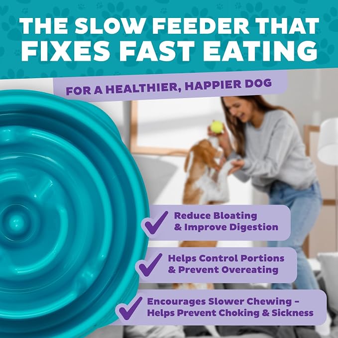 Outward Hound Fun Feeder Slo Bowl – Medium 2‑Cup Capacity, Slow Feeding - Image 5