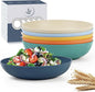 10-inch Wheat Straw Big Bowls Set of 6 by WROVA