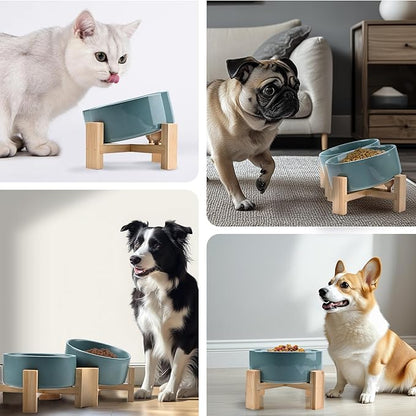 SPUNKYJUNKY 15° Slanted Ceramic Dog and Cat Bowl with Wooden Stand, Tilted Bulldog Food and Water Bowl No Slip Non-Spill for Cats Medium Dogs Big Face Pets 28.7 OZ (3.6 Cups, Light Green)