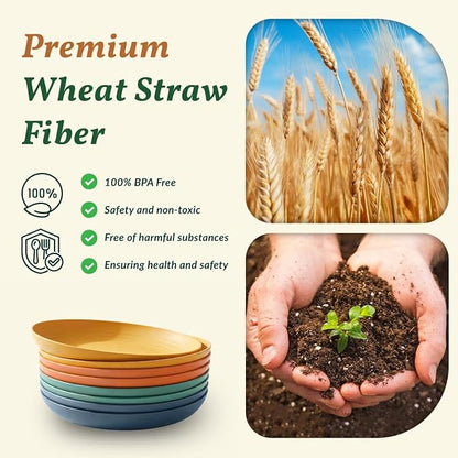 Deep Dinner Plates Set of 8 Alternative - Image 3