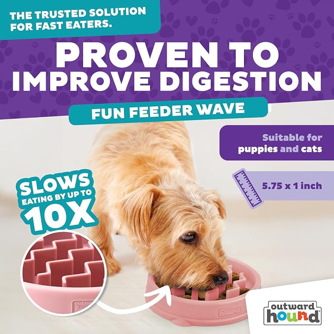 Outward Hound Fun Feeder Slo Bowl – Small 3/4-Cup Capacity, Slow Feeding - Image 2