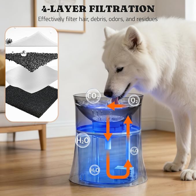 Pawtners 1 Gal/3.5L Dog Water Fountain, Elevated Dog Water Bowl Dispenser | - Image 6