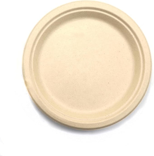 10 Inches Disposable Plate, 10" Biodegradable Paper Plates, Pack of 120