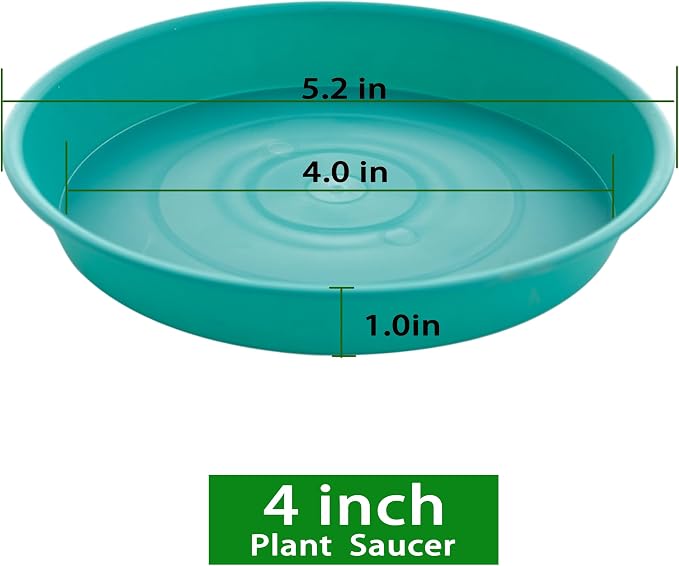 6 Pack Plastic Plant Saucer Water Drip Tray, 4 5 6 7 8 9 10 11 12 13 15 17 19 - Image 2
