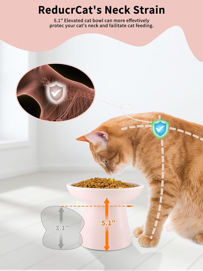 LoeJan Elevated Cat Food and Water Bowls Set, Extra Wide and Raised Ceramic - Image 3