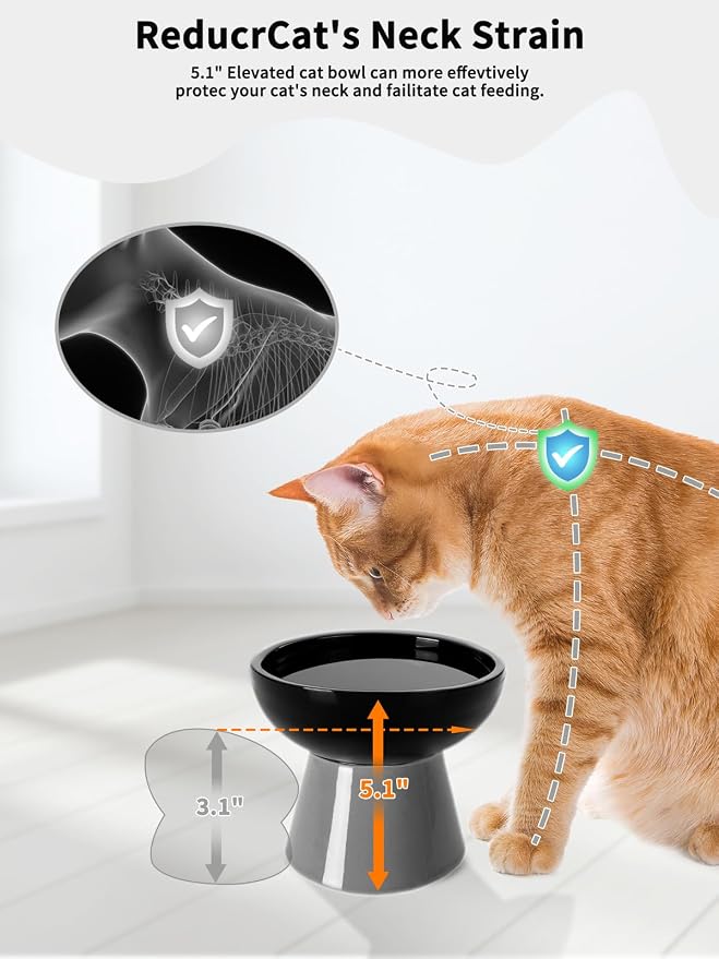 LoeJan Elevated Cat Food and Water Bowls Set, Extra Wide and Raised Ceramic - Image 6