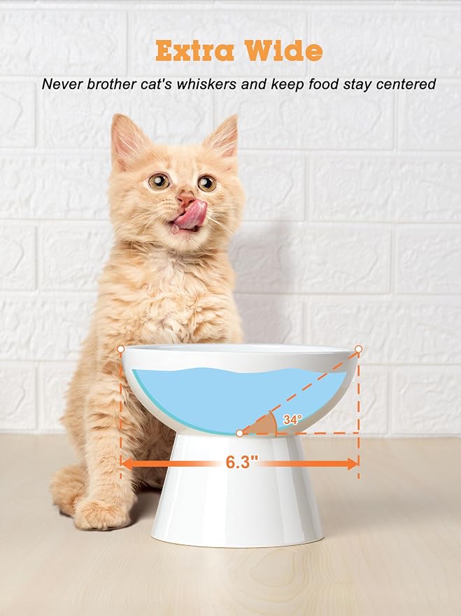 LoeJan Elevated Cat Food and Water Bowls Set, Extra Wide and Raised Ceramic - Image 7
