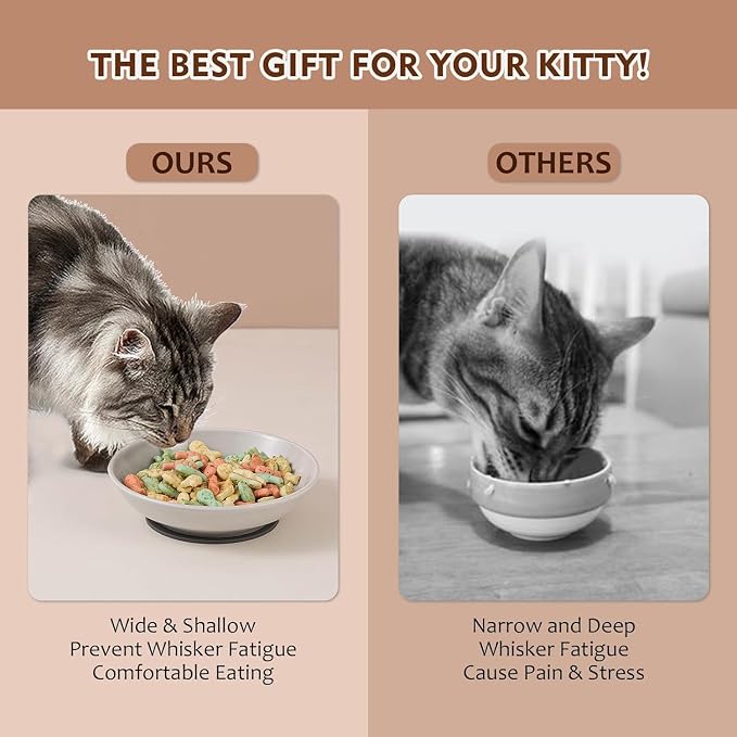 Ceramic Cat Food Bowl Set - Image 3