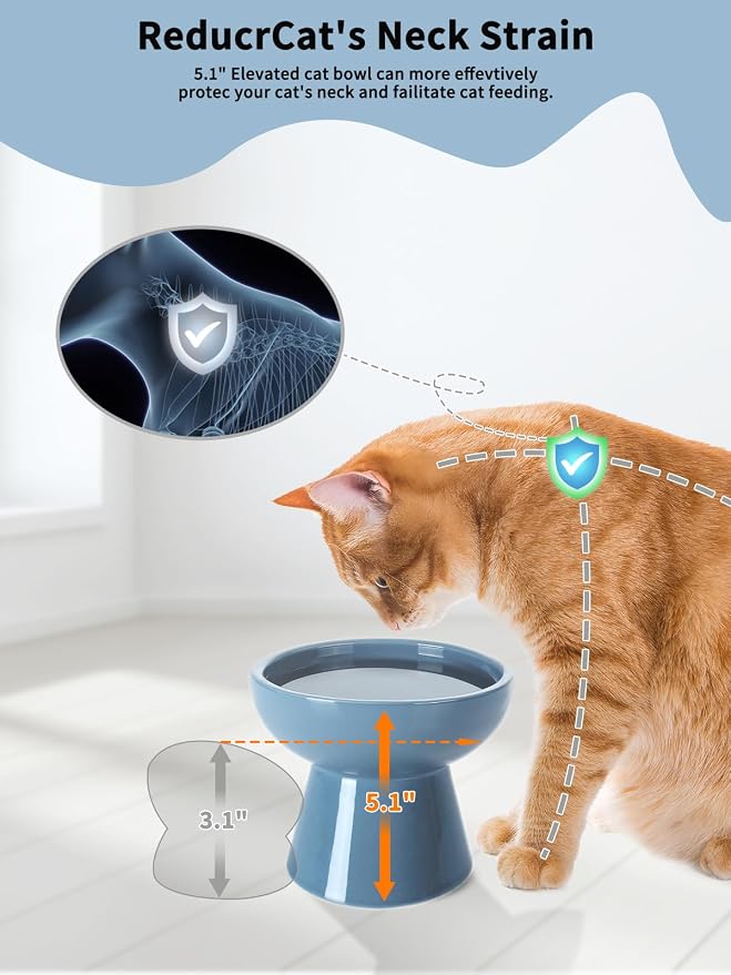 LoeJan Elevated Cat Food and Water Bowls Set, Extra Wide and Raised Ceramic - Image 4