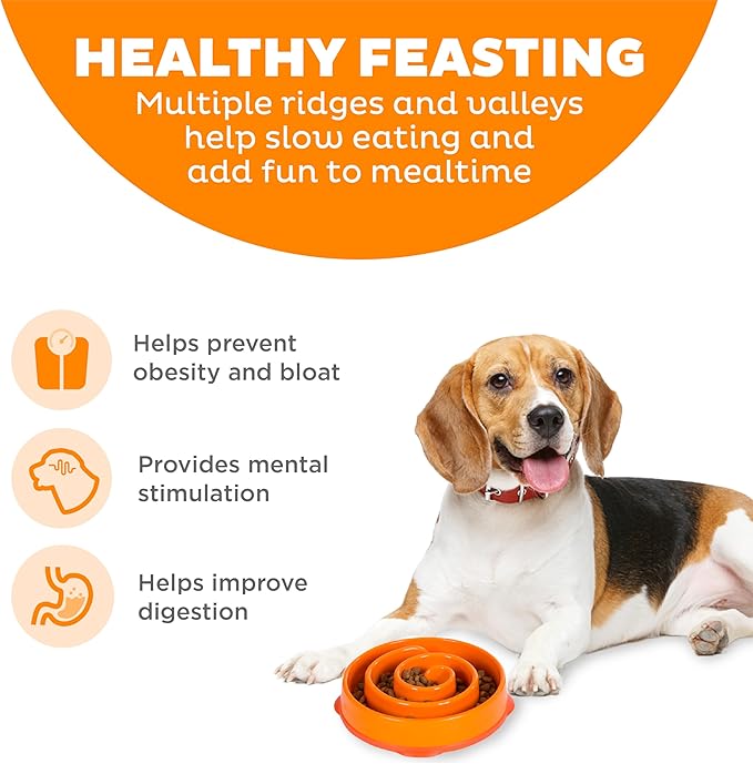 Outward Hound Fun Feeder Slo Bowl – Medium 2‑Cup Capacity, Slow Feeding - Image 2