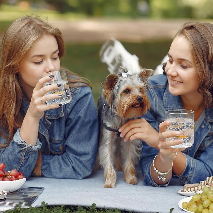 SiliFine 2 Pcs Dachshund Icon Juice Glasses - 14oz Cute Dog Stemless Wine - Image 8